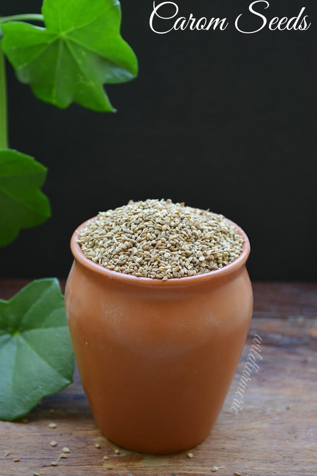10 Top Benefits & Uses Of Ajwain Seeds Wildturmeric