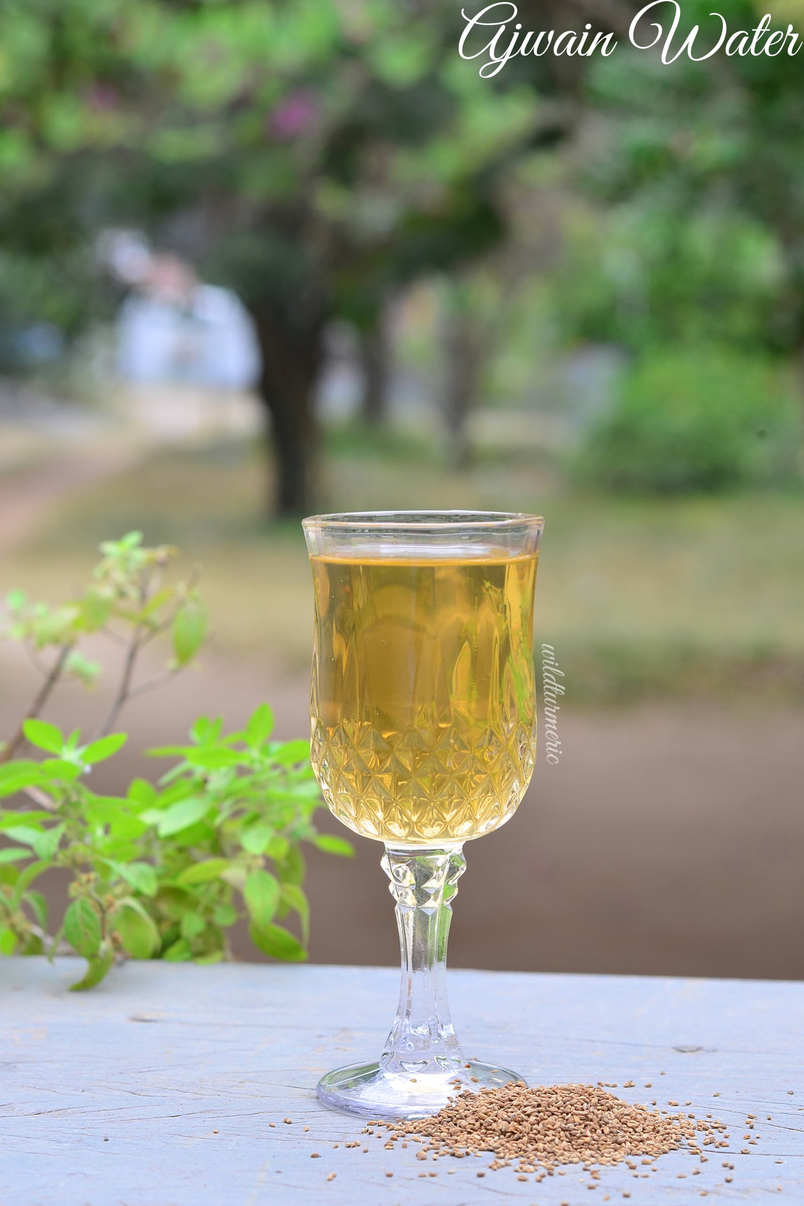 6 Top Benefits & Side Effects Of Ajwain Water (Omam Water) Wildturmeric