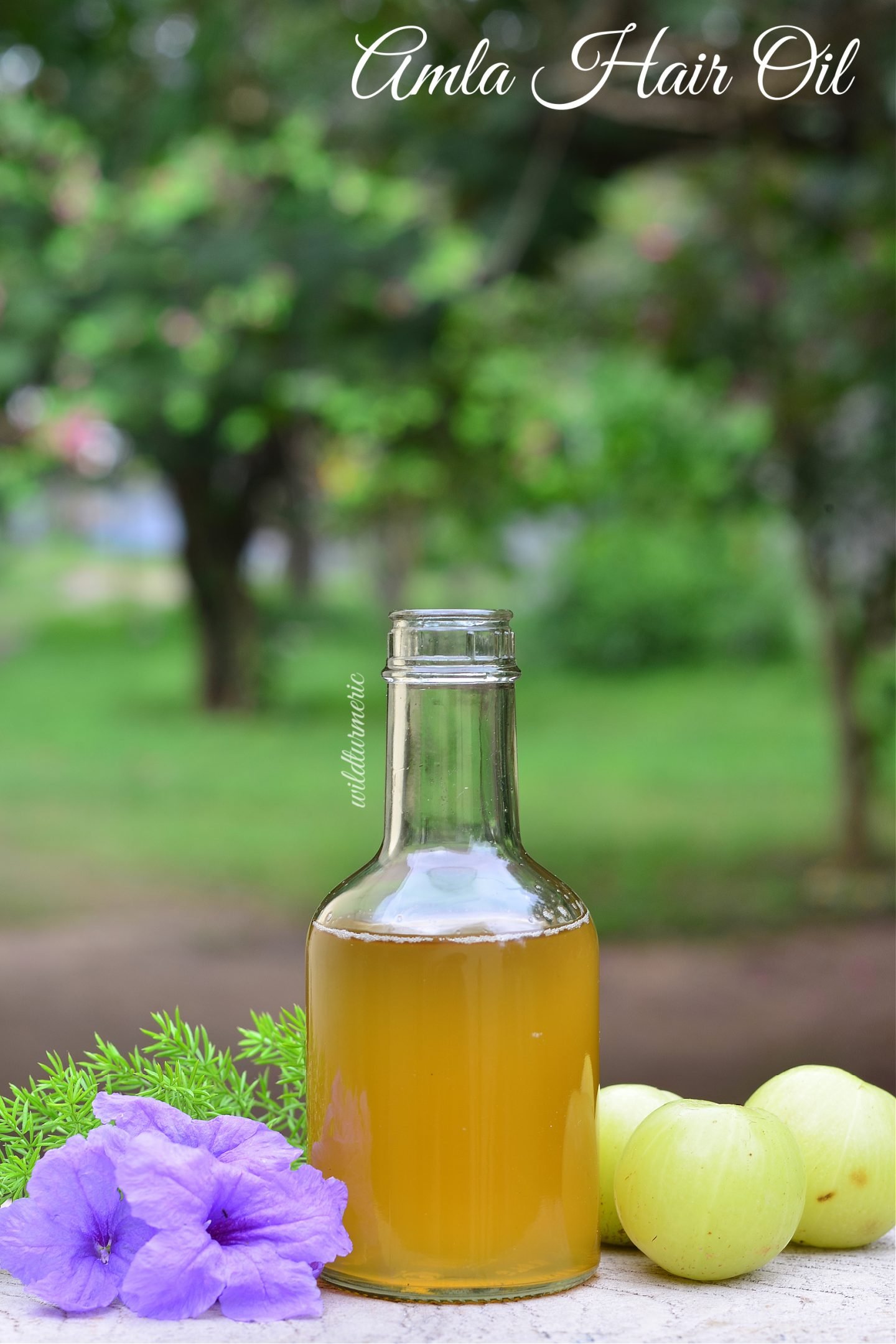 Amla oil for hair growth discount
