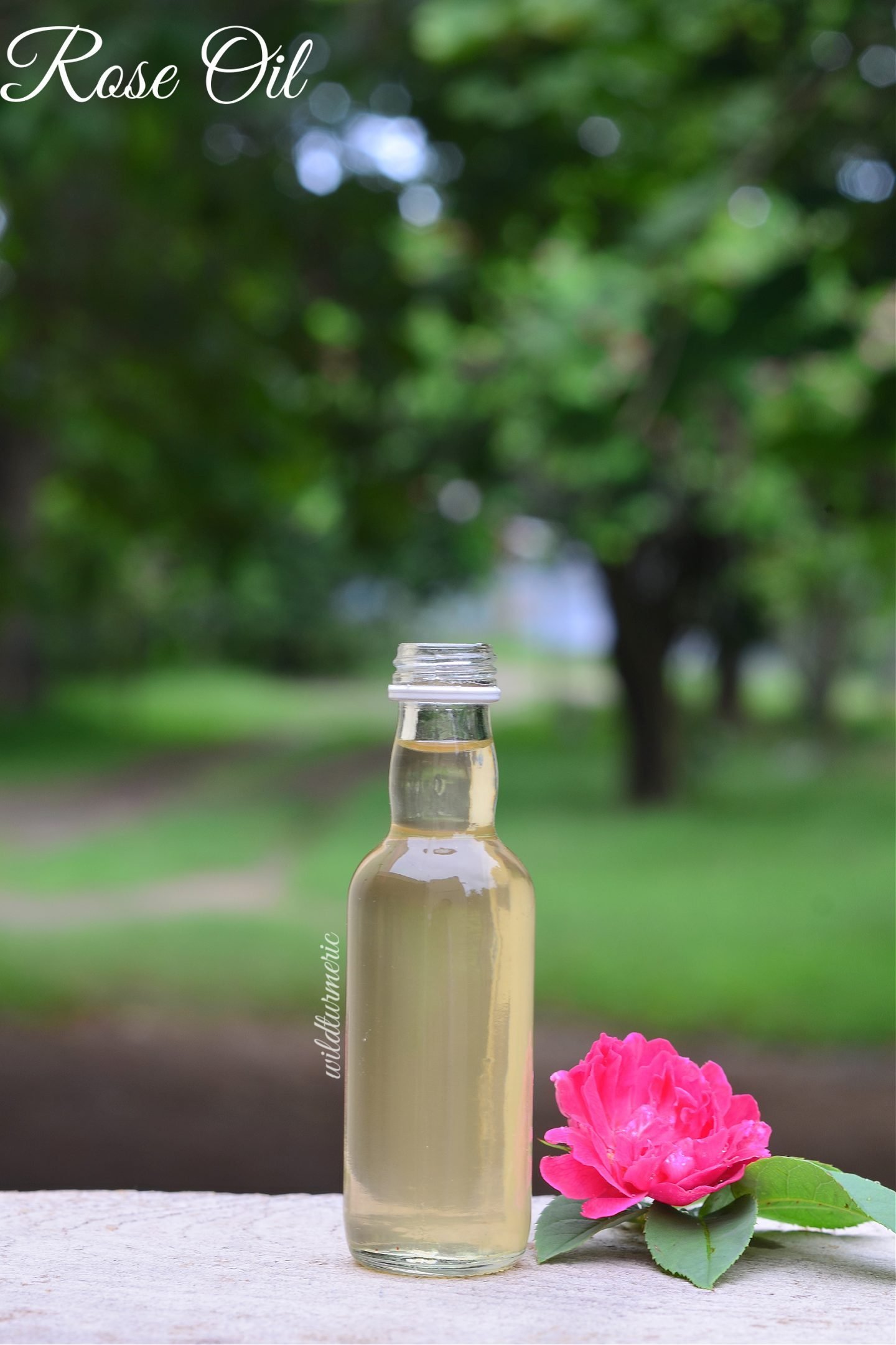 Rose Oil