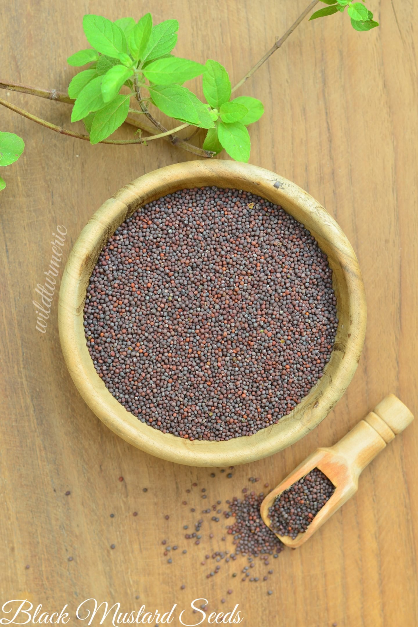 mustard oil for hair growth