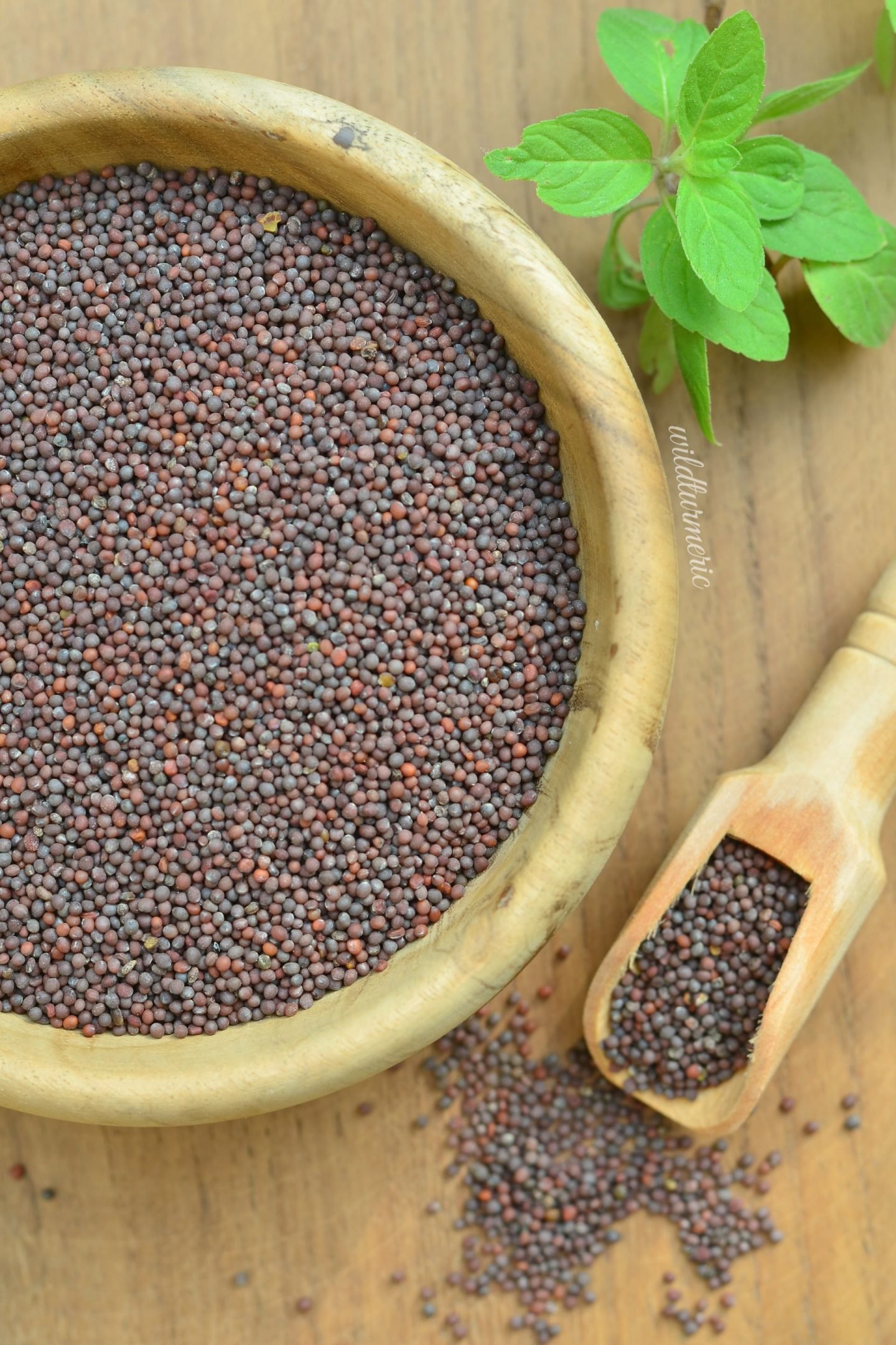 mustard oil benefits in cooking