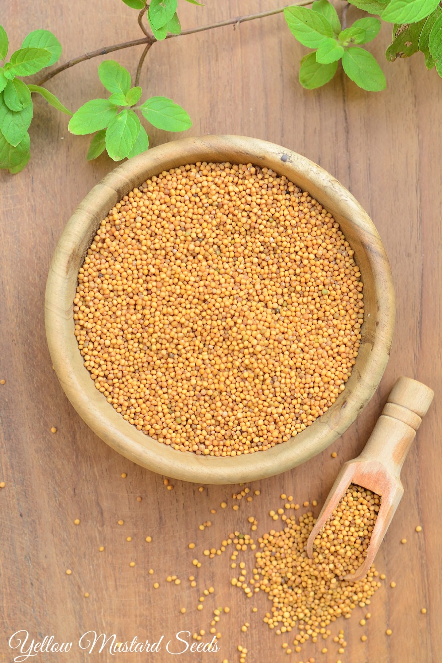 sarso oil benefits
