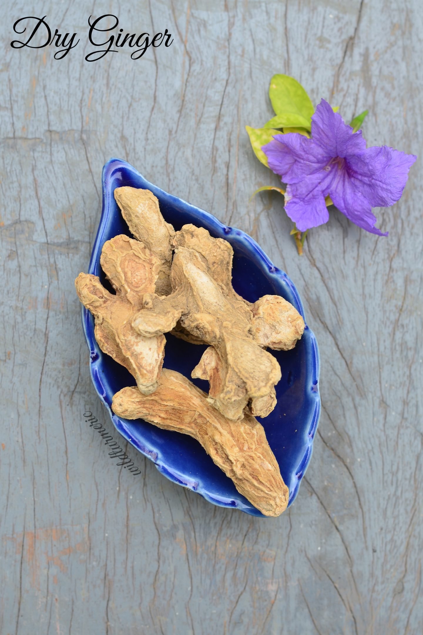 dry ginger benefits dry ginger benefits