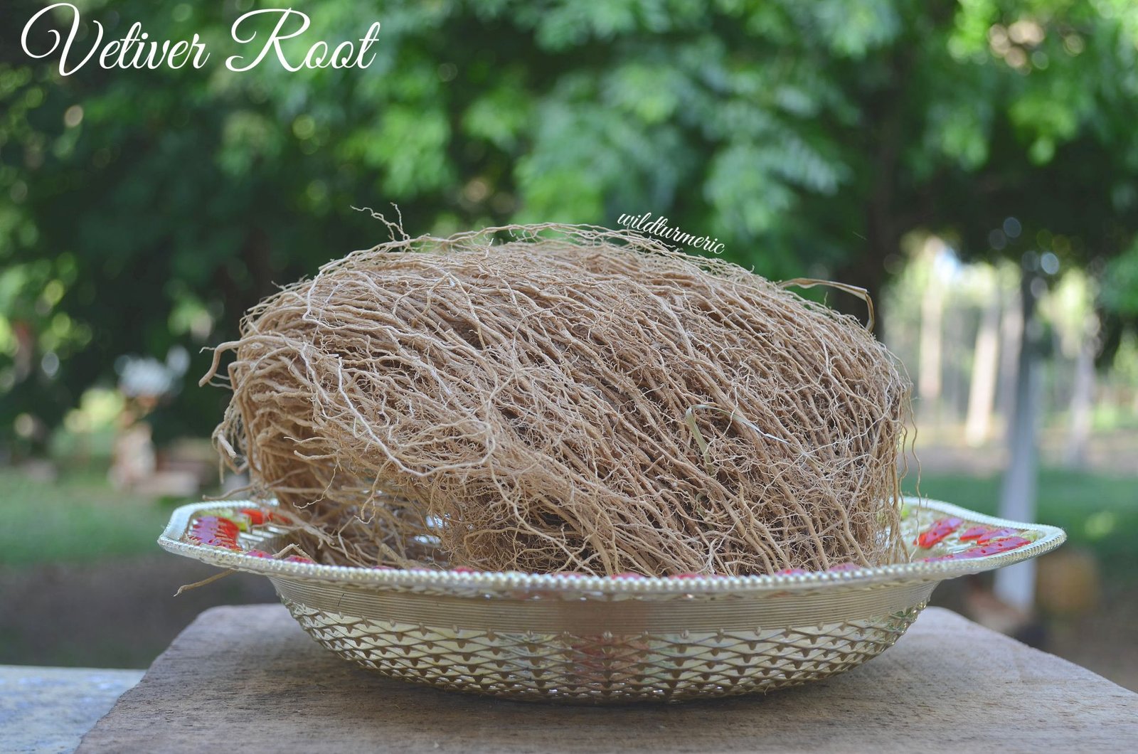Discover the Amazing Benefits of Vetiver for Skin, Hair & Health