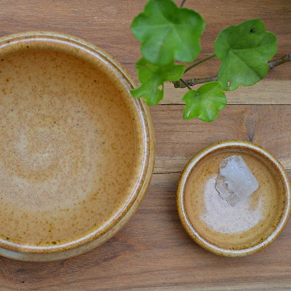 Alum foot soak in warm water for cracked heels