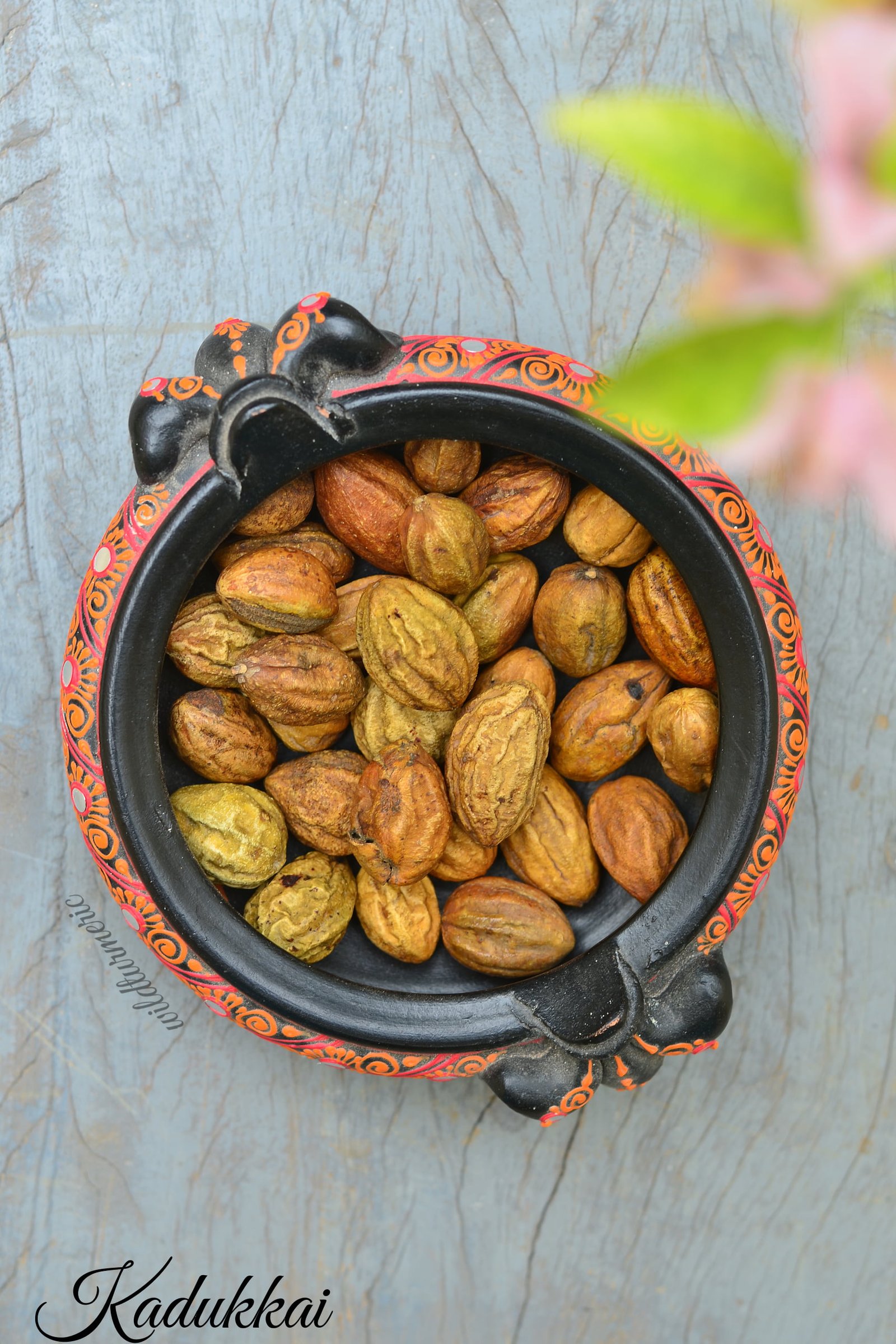 10 Top Health Benefits Of Kadukkai (Haritaki | Inknut) - Wildturmeric 10 Top Health Benefits Of Kadukkai (Haritaki | Inknut) - Wildturmeric