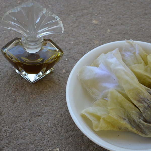 avocado oil skin benefits