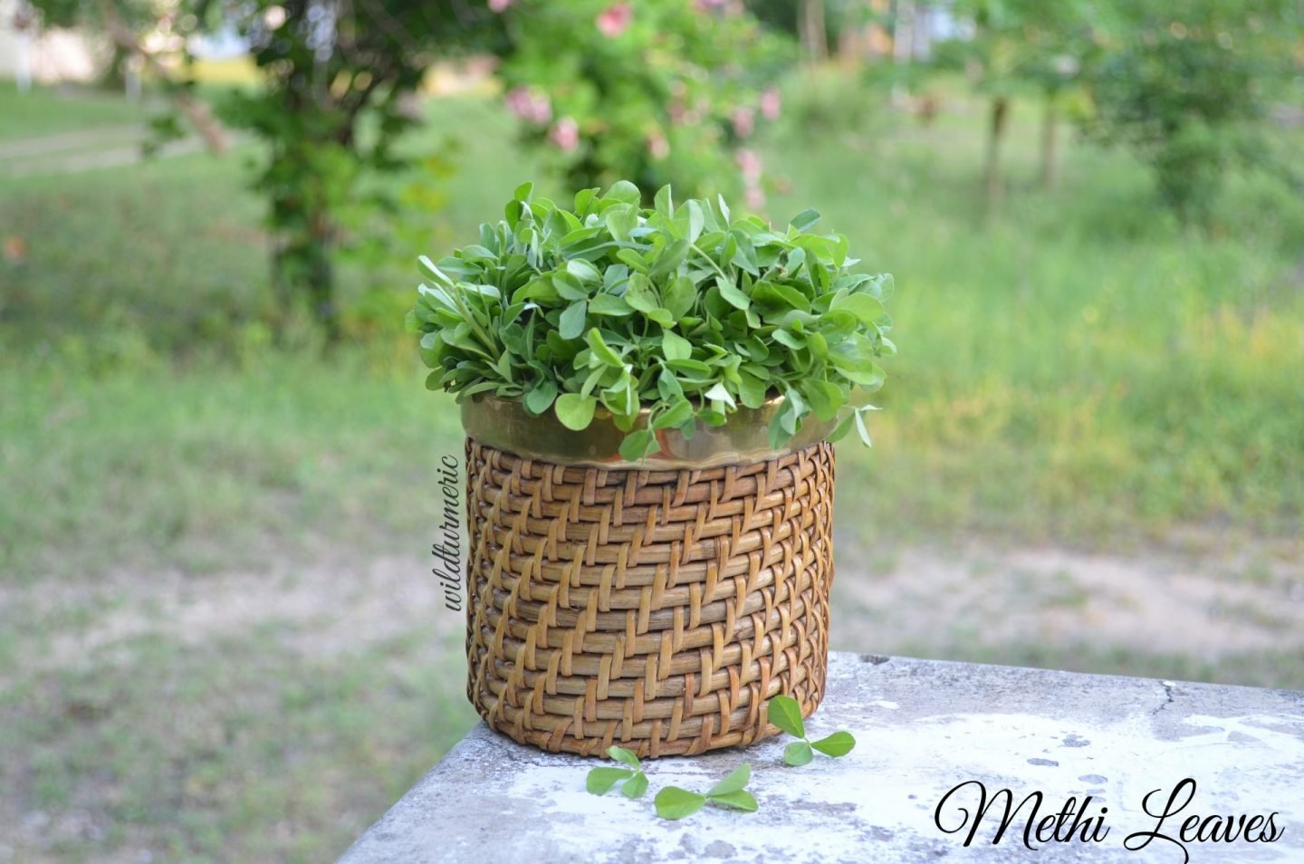 fenugreek leaves health benefits