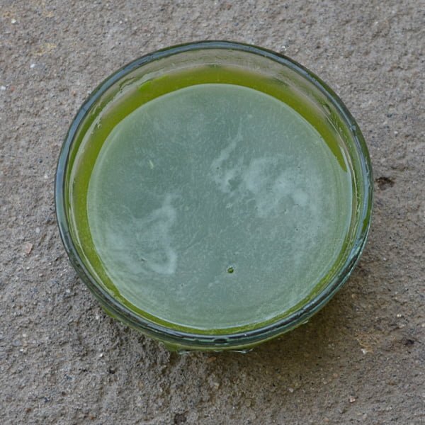betel leaf benefits and uses