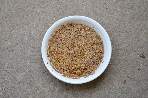 alfalfa seeds benefits alfalfa seeds benefits
