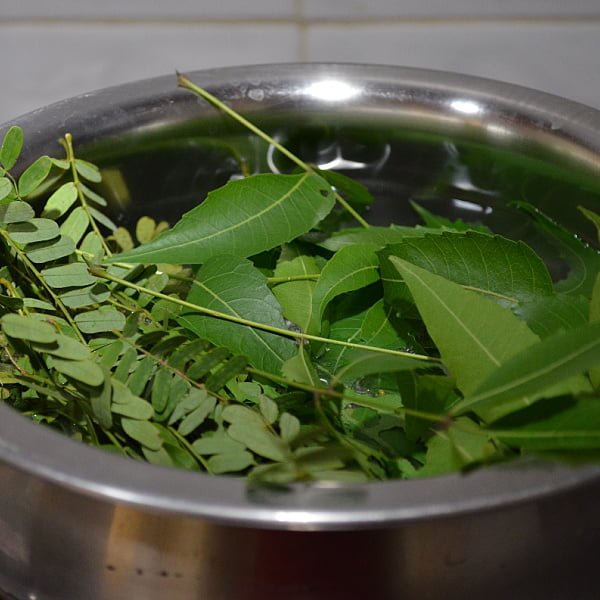 neem for skin diseases