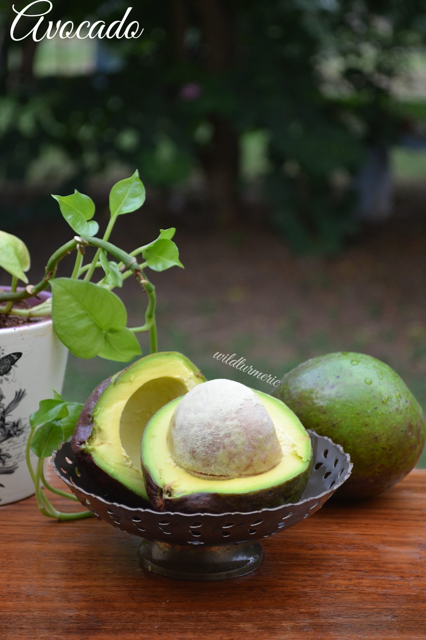 avocado health benefits
