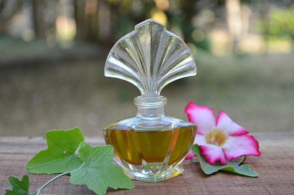 avocado oil for hair and skin avocado oil for hair and skin