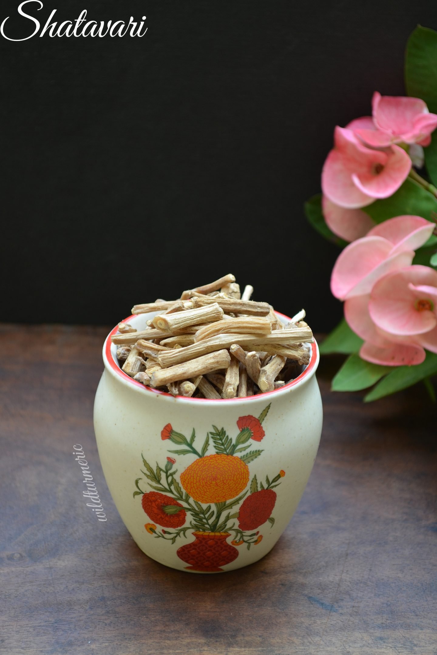 shatavari benefits