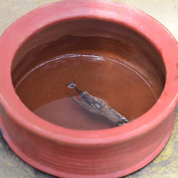karuvela maram medicinal uses