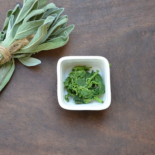 sage herb benefits sage herb benefits