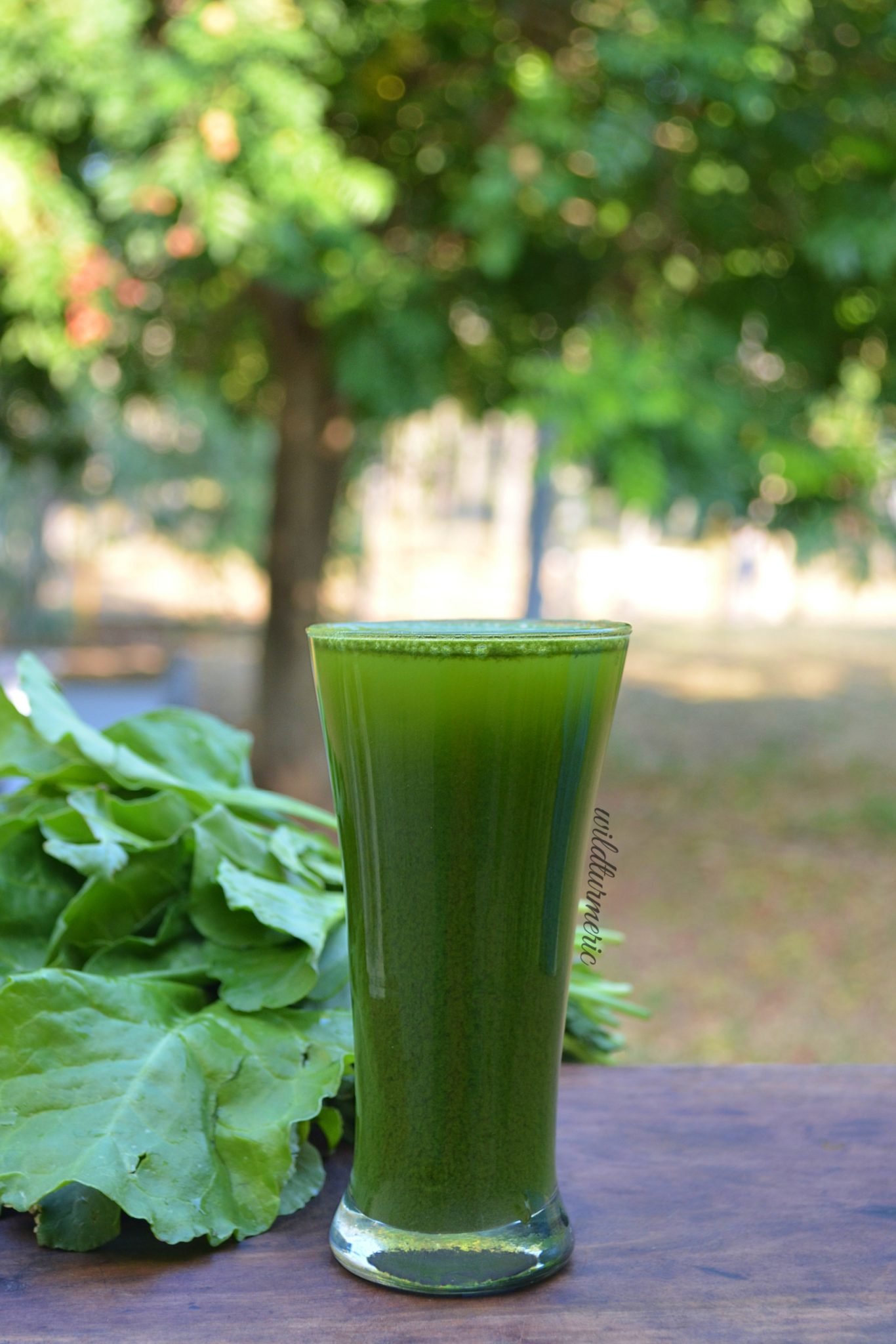 8 Top Benefits Of Spinach (Palak) juice Wildturmeric