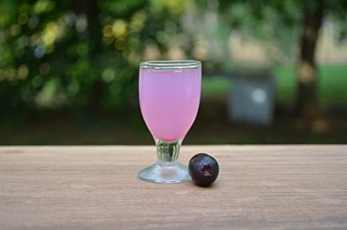 jamun fruit juice health benefits jamun fruit juice health benefits