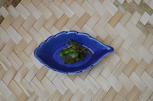 li[pia nodiflora medicinal uses li[pia nodiflora medicinal uses