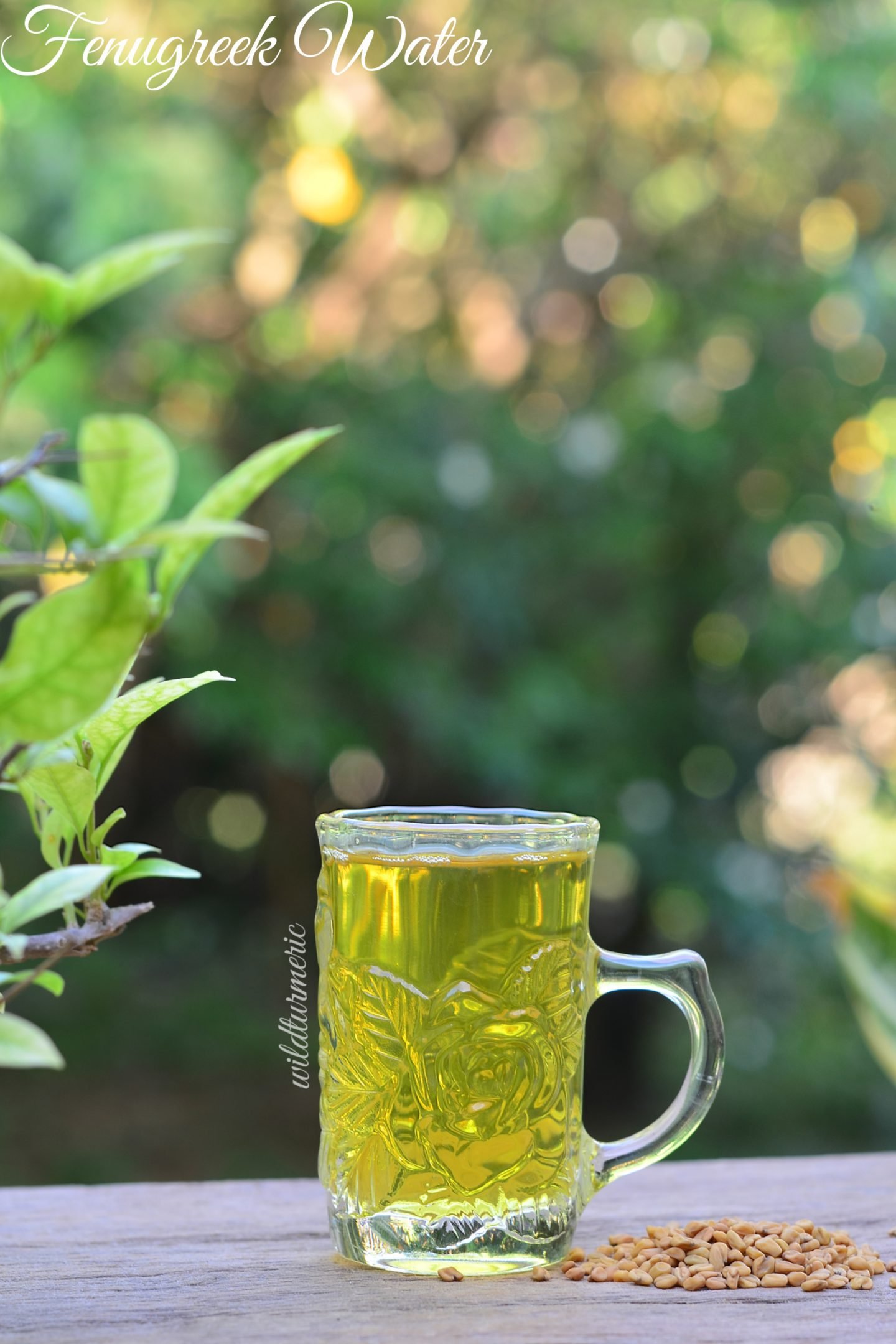 fenugreek water for hair fenugreek water for hair