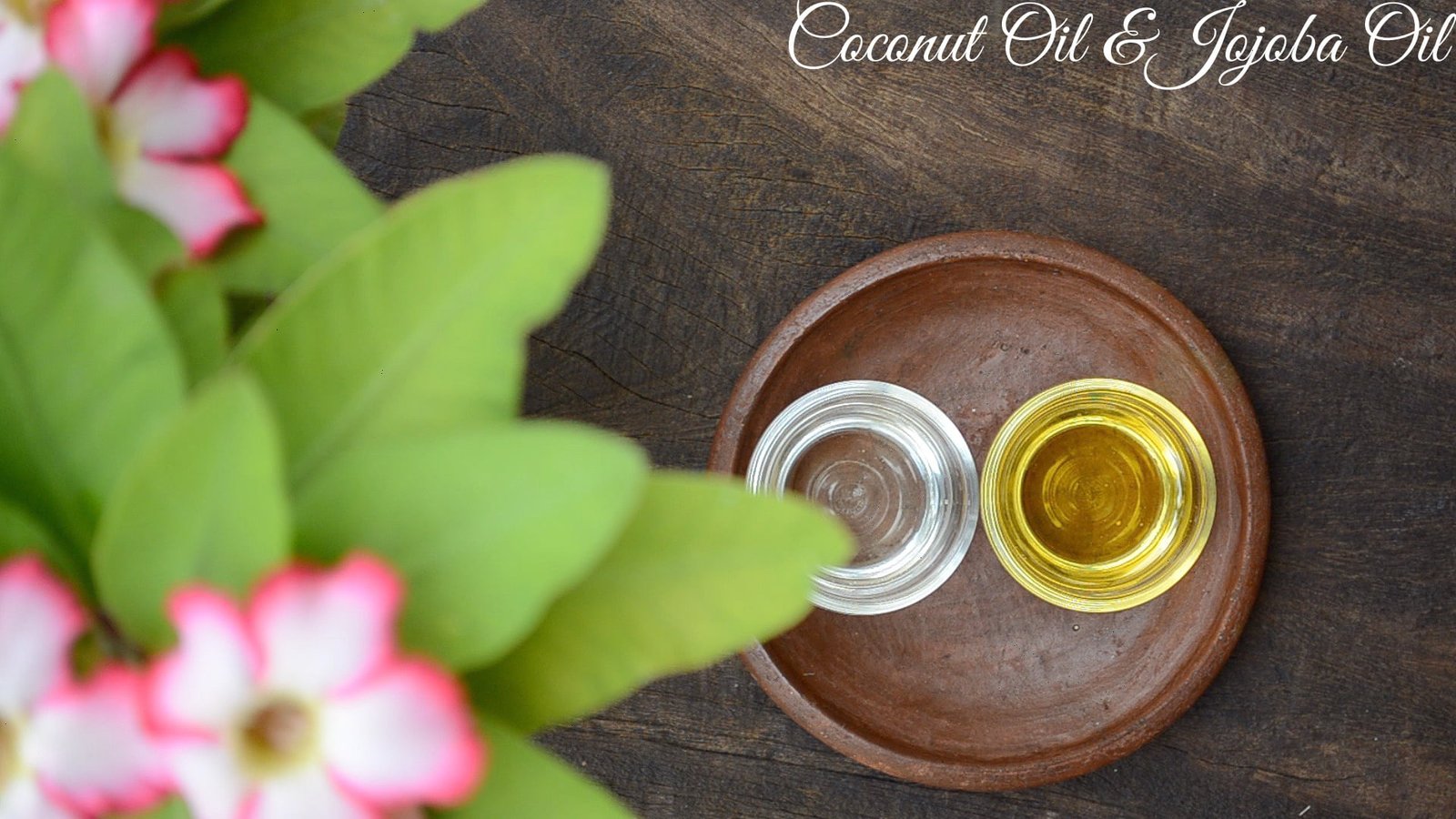 Hot Oil Treatment For Hair Benefits & Method ! Wildturmeric