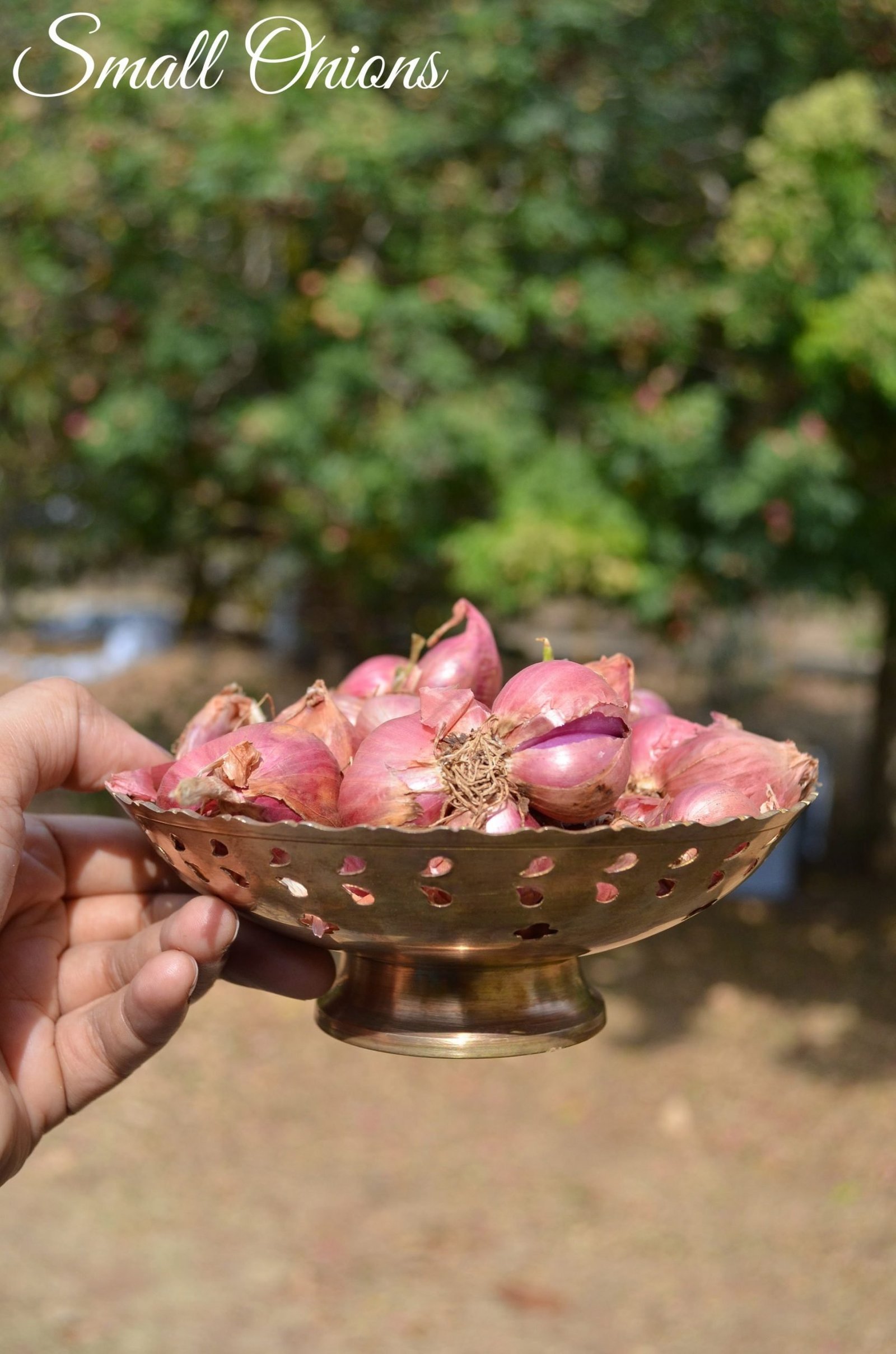 Onion Juice For Hair Growth 5 Top Ways! Wildturmeric