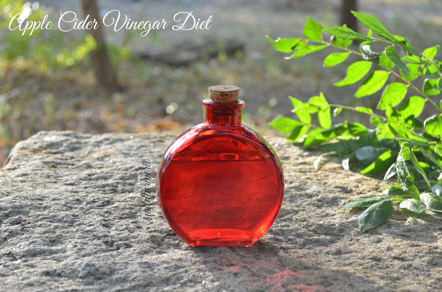 How to use apple cider vinegar for weight loss apple cider vinegar weight loss drink