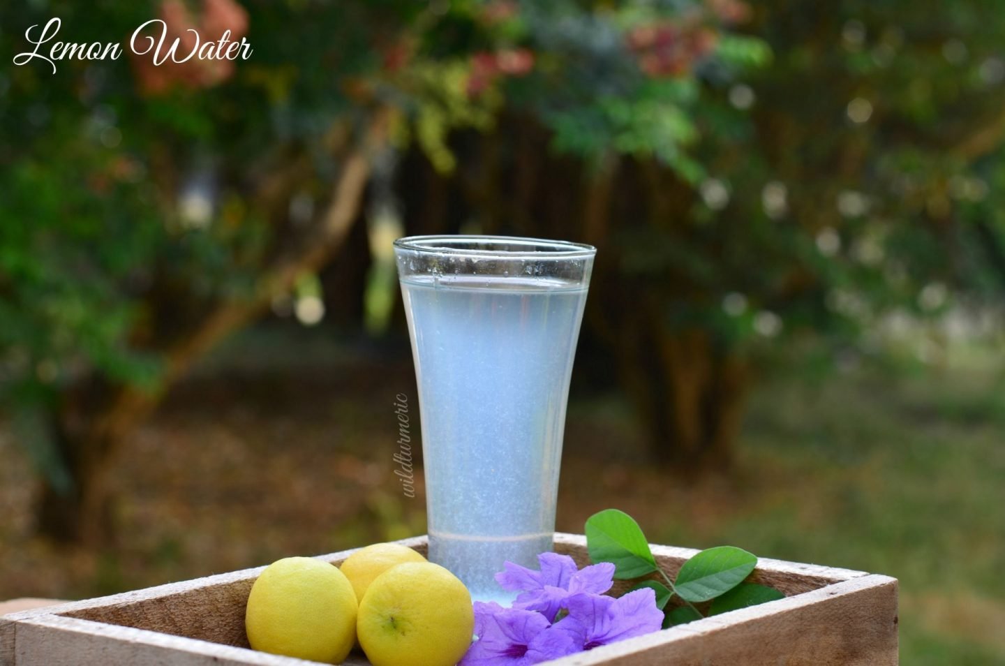 5 side effects of lemon water lemon water side effects