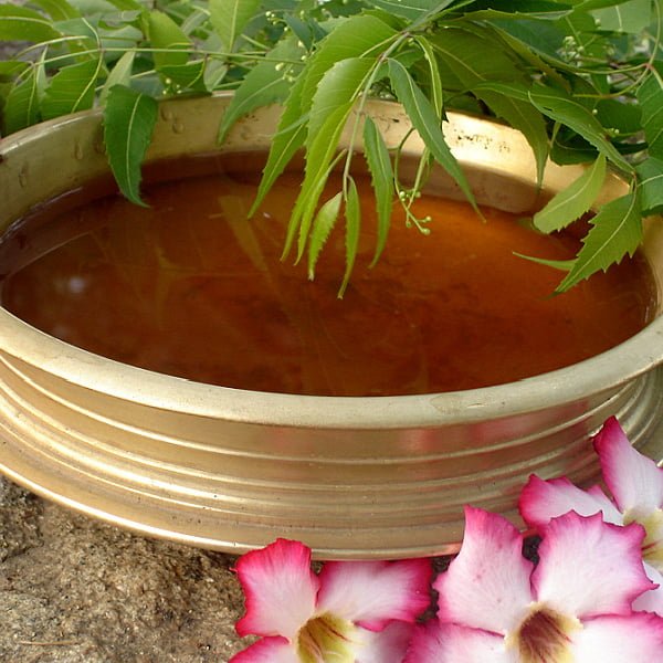 Neem For Hair Growth: 4 Top Ways ! - Wildturmeric Neem For Hair Growth: 4 Top Ways ! - Wildturmeric
