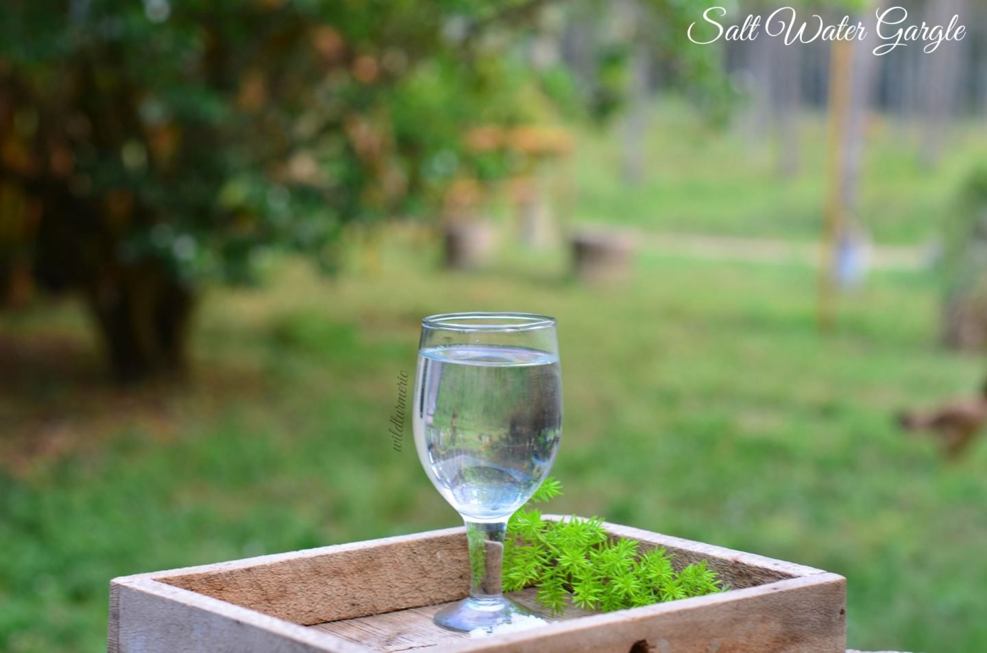 benefits of gargling salt water