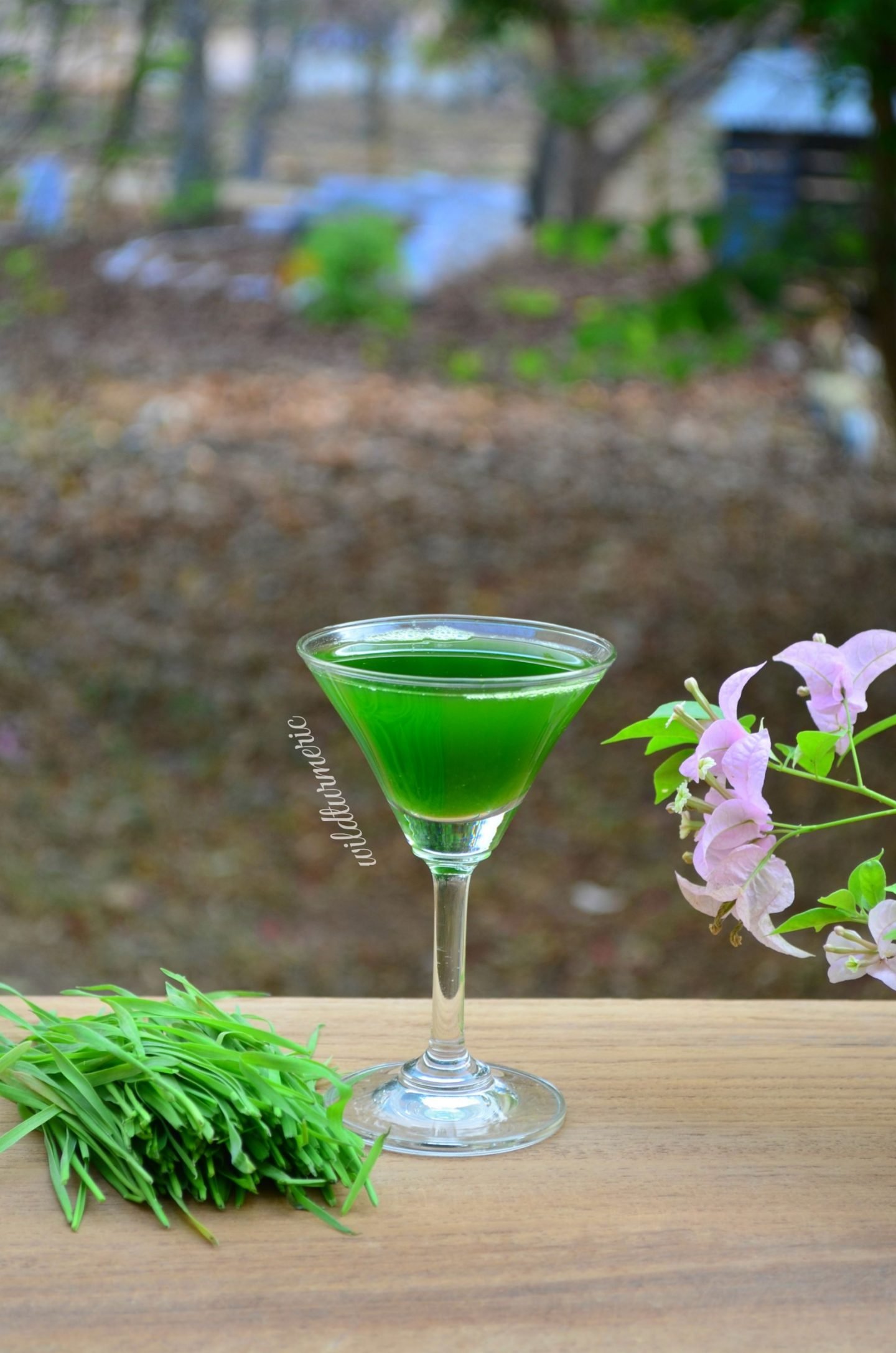 wheatgrass juice health benefits