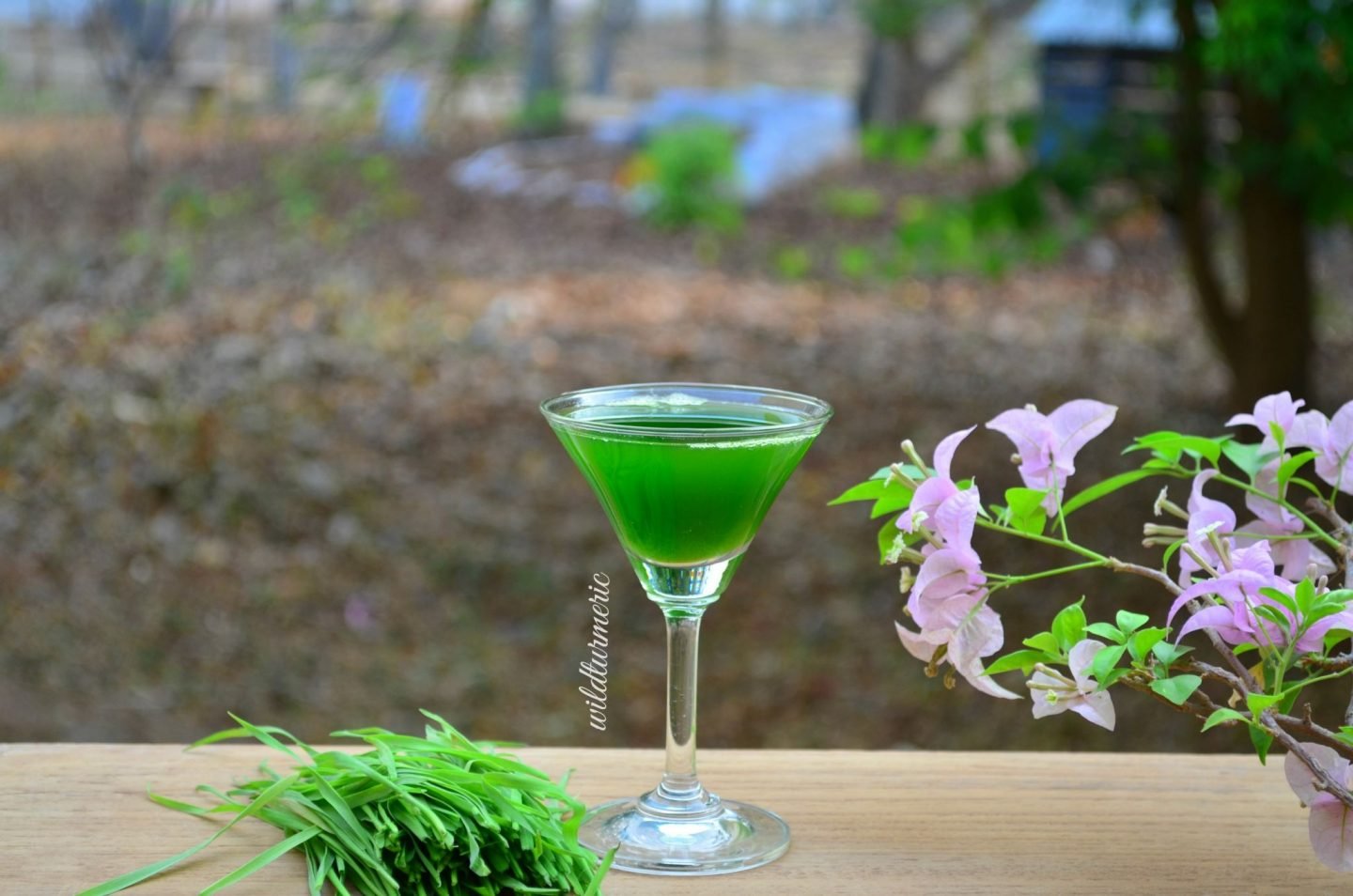 wheatgrass juice nutrition