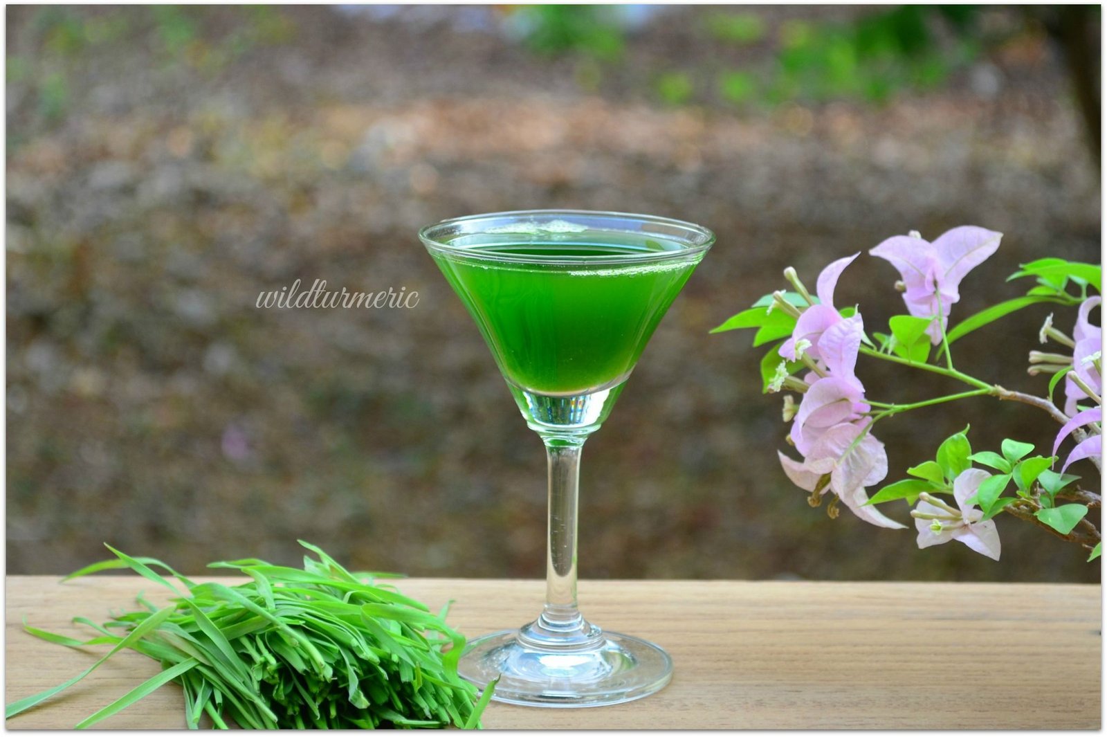 7 Dangerous Side Effects Of Wheatgrass You Should Be Aware Off