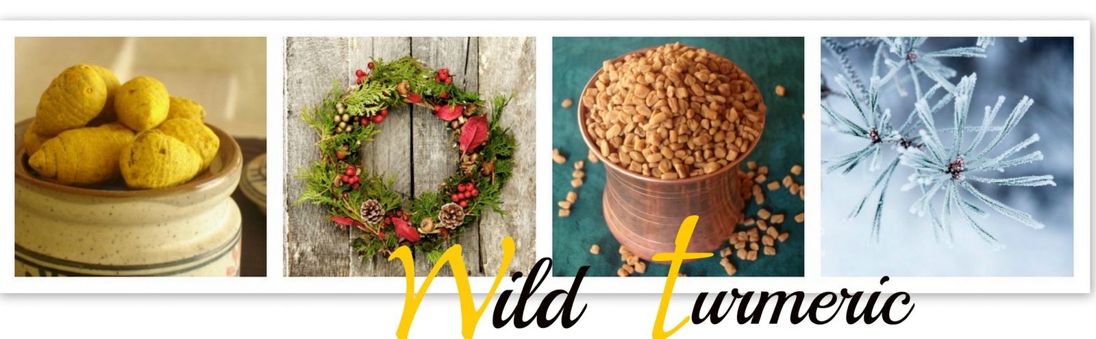 Wildturmeric