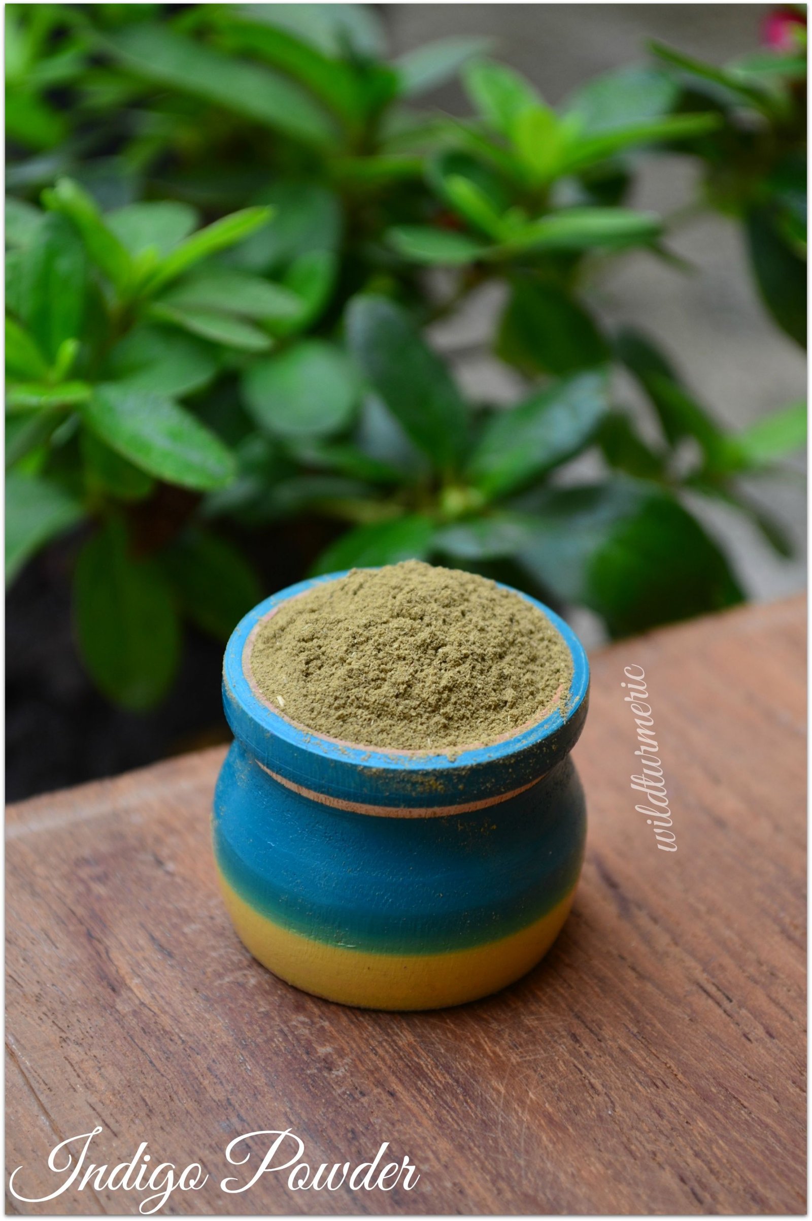 How To Use Indigo Powder To Dye Hair Black Naturally At Home Wildturmeric