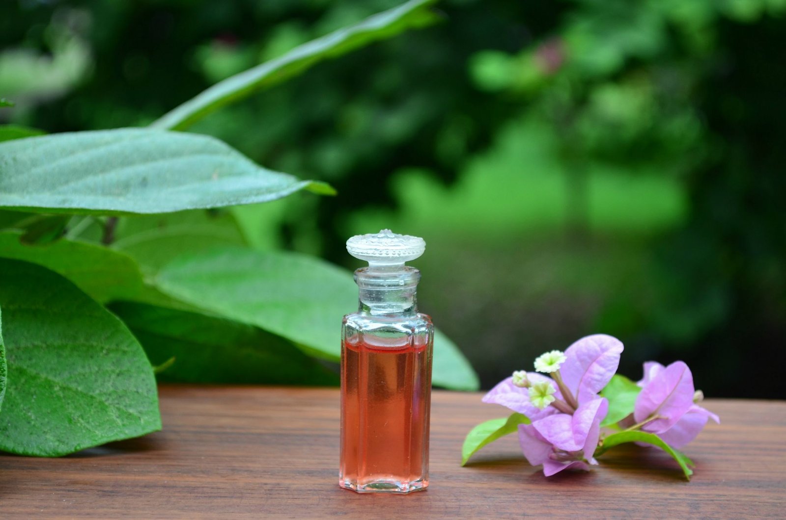 10 Top Skin Benefits & Uses Of Kumkumadi Tailam (Kumkumadi Oil) Wildturmeric