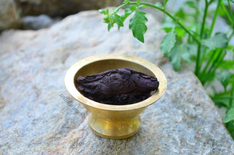 6 Top Benefits Of Ratanjot For Hair, Skin & Health Wildturmeric