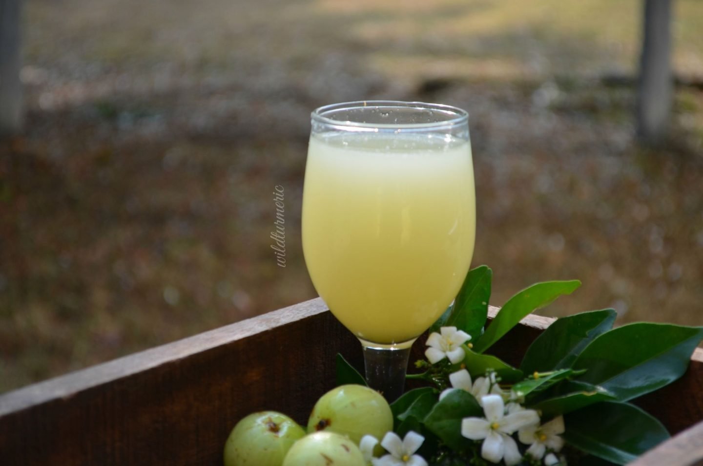 giloy amla juice