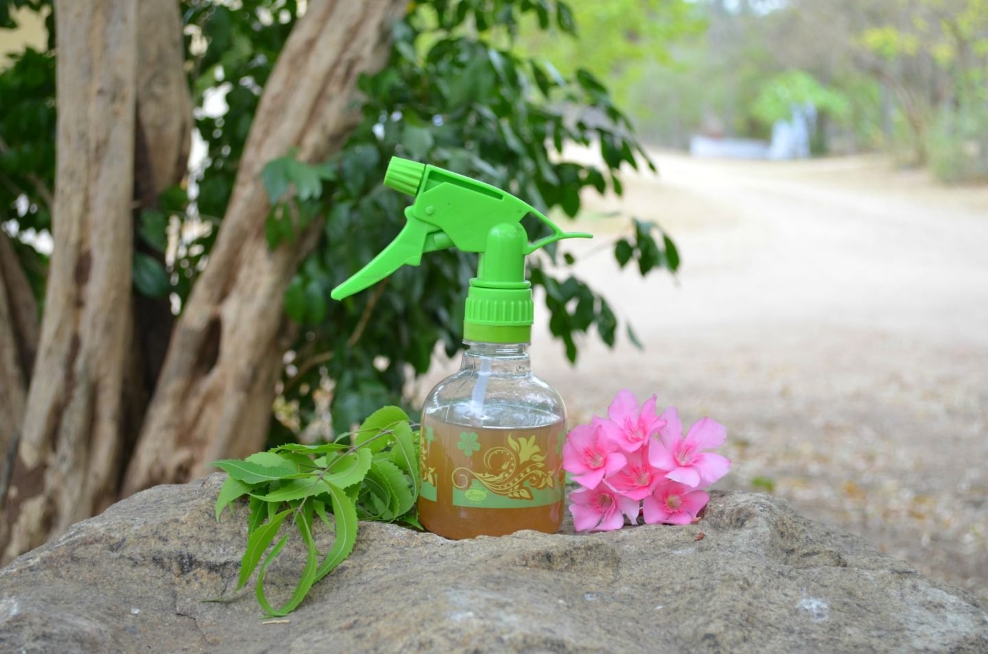 laung health benefits