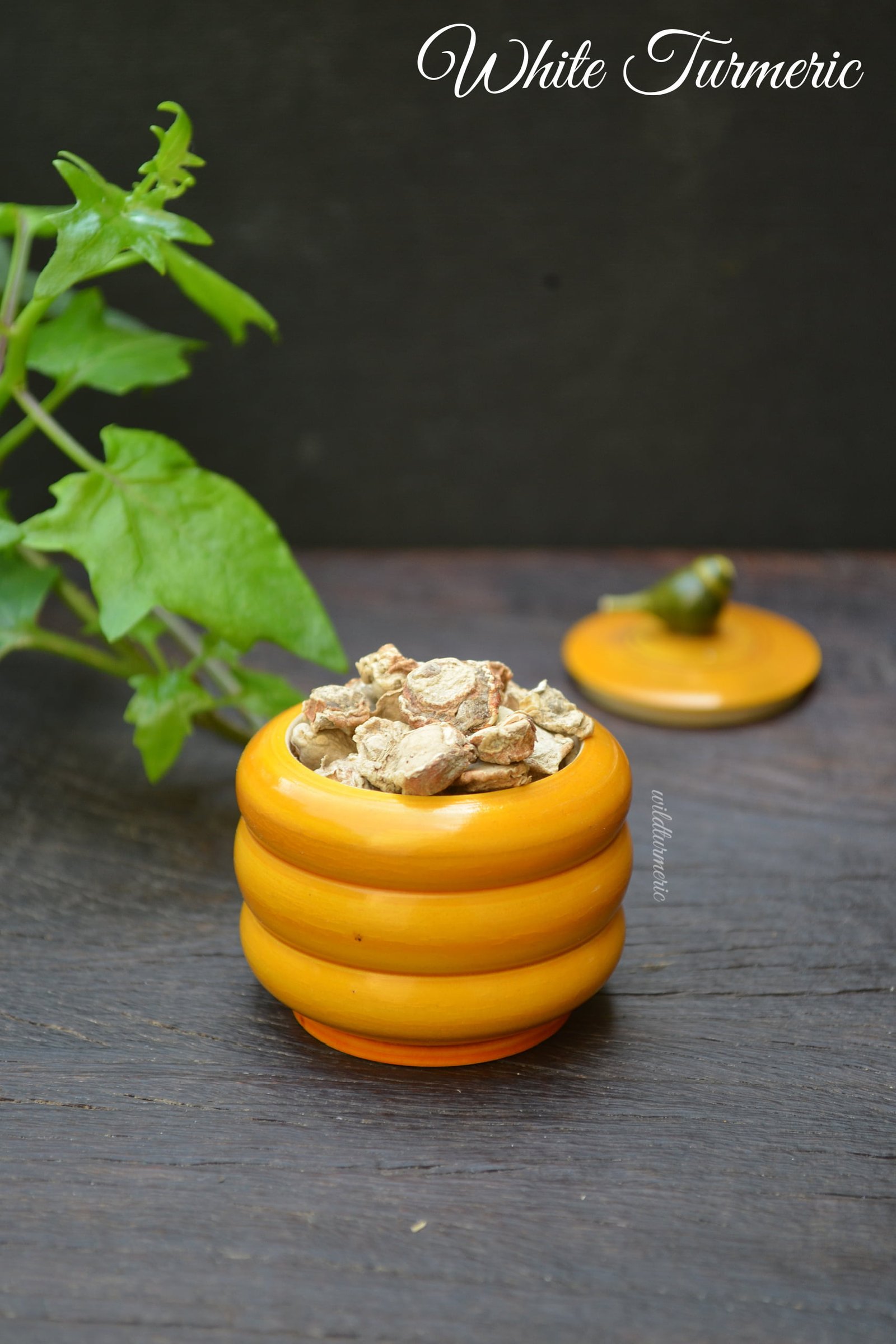 10 Top Uses & Benefits Of White Turmeric (Poolankilangu) For Skin, Hair & Health - Wildturmeric 10 Top Uses & Benefits Of White Turmeric (Poolankilangu) For Skin, Hair & Health - Wildturmeric