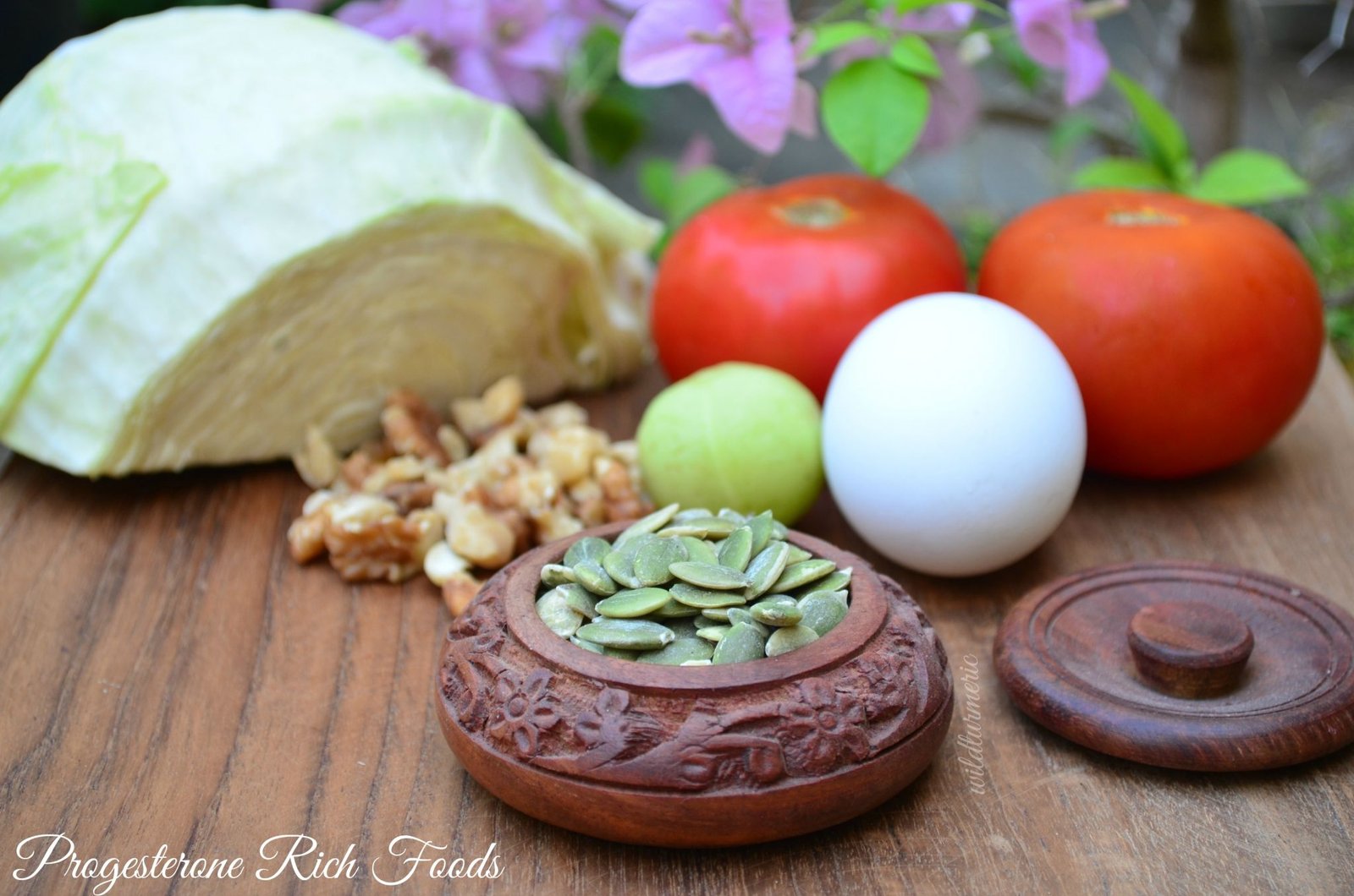 5 Foods That Increase Progesterone Naturally To Get Pregnant - Wildturmeric 5 Foods That Increase Progesterone Naturally To Get Pregnant - Wildturmeric