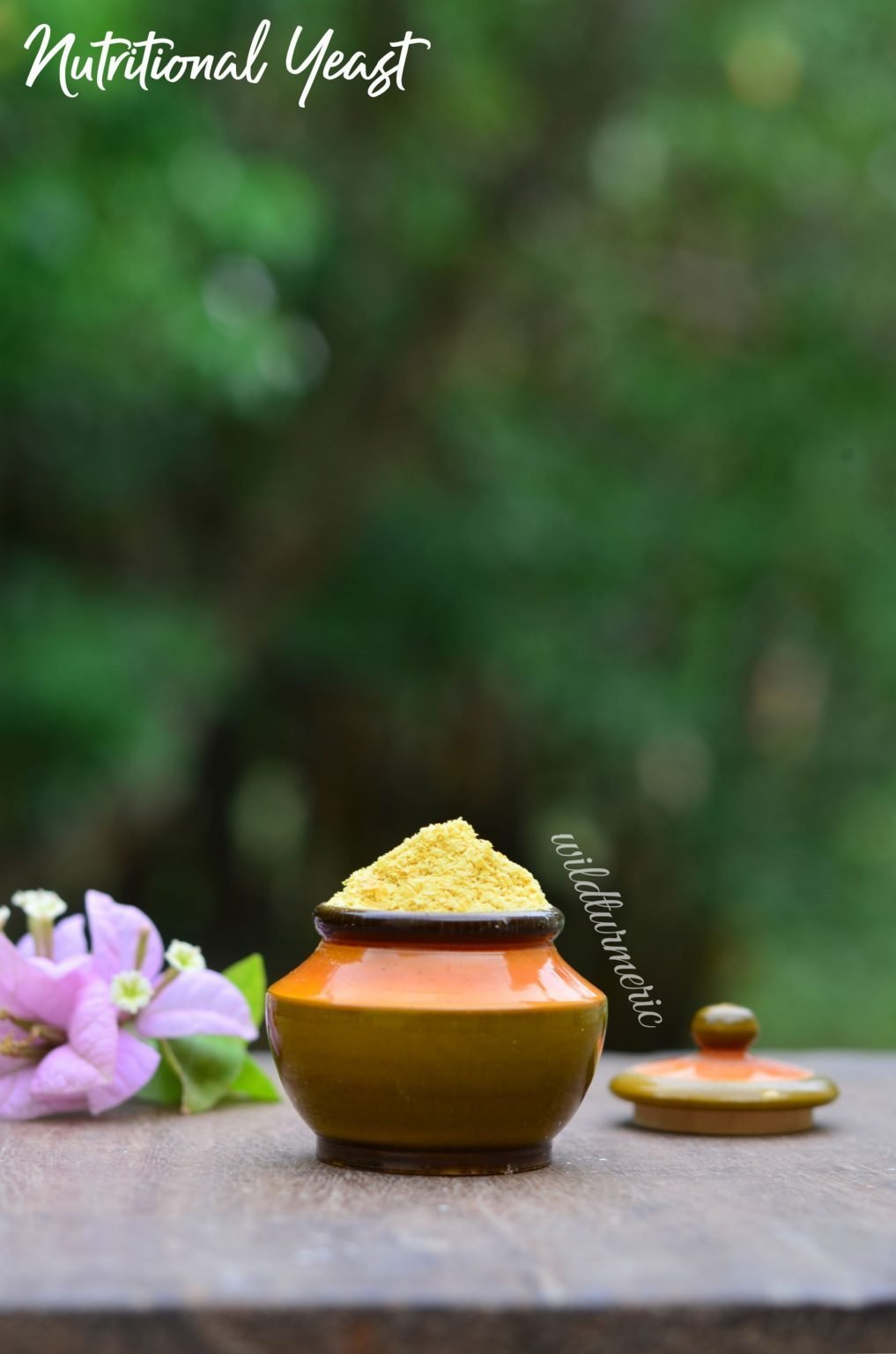 10 Top Health Benefits Of Nutritional Yeast & Brewers Yeast Wildturmeric