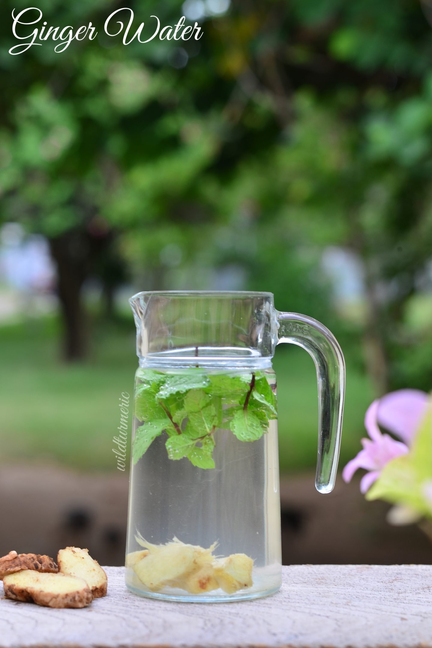 ginger water benefits ginger water benefits