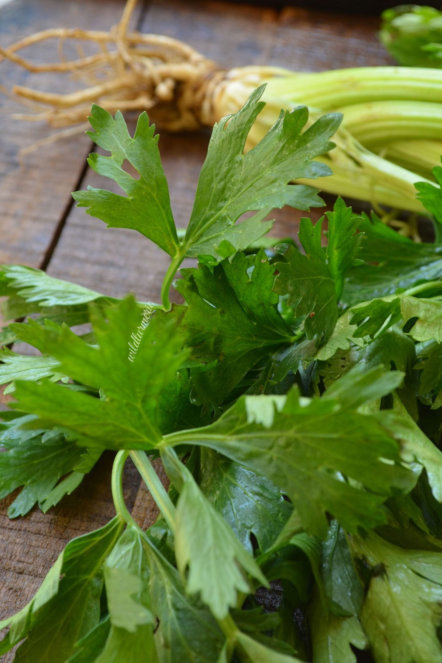 How to Prepare Celery