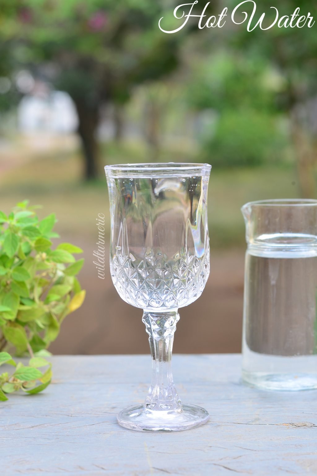 6 Top Benefits & Side Effects Of Drinking Hot Water Wildturmeric