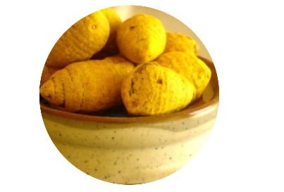 Ramya (Wildturmeric) logo